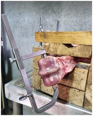 Comparison of interfragmentary compression across simulated condylar fractures repaired using four techniques